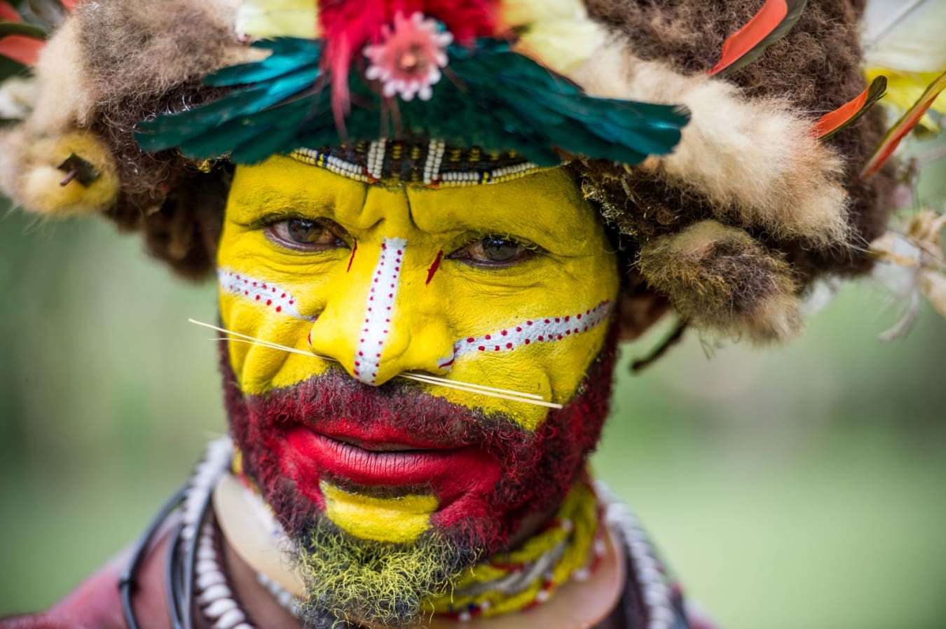 The Huli Tribe of Papua New Guinea - The Travel Addict