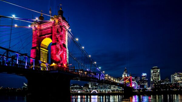 Blink Lights Festival Featured